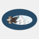 Search for pirate oval stickers Skull