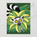 Search for exotics postcards Wildlife