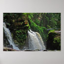 Search for amazons art Rainforest