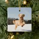 Search for dog run christmas tree decorations Animal