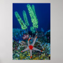 Search for raja posters Jaynes gallery