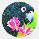 Search for parrot art stickers Wildlife