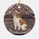 Search for english bulldog christmas tree decorations Pet