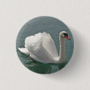 Search for swan badges Animals