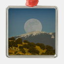 Search for santa fe new mexico christmas tree decorations Nobody