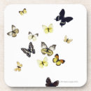 Search for shot coasters Nature