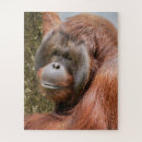 Search for male puzzles Animals