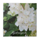 Search for white hydrangeas tiles Elegant
