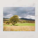 Search for moore postcards Scotland