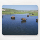 Search for swallows mousepads Wildlife
