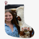 Search for cow christmas stockings Cattle