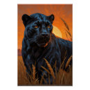 Search for black leopards posters Wildlife