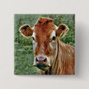 Search for bovine badges Cattle