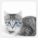 Search for staring eyes stickers Cat