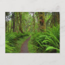 Search for oregon trail postcards Nature