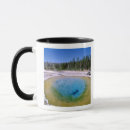 Search for attractions mugs America