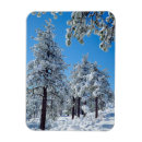 Search for covers magnets Blue