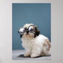Search for thick posters Nature