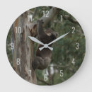 Search for koala clocks Animal