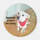 Search for pups magnets White