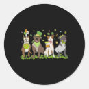 Search for cute st patricks day stickers Four leaf clover