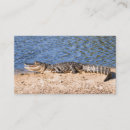 Search for alligator business cards Animal