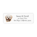 Search for bichon return address labels Bichon frise dog