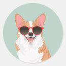 Search for cute corgis stickers For kids