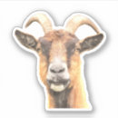 Search for cute goat stickers Illustration