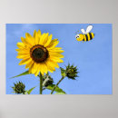 Search for bee happy posters Fun