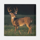 Search for state park magnets Wildlife