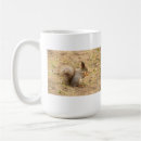Search for squirrel nuts mugs Nature