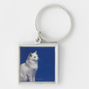 Search for one shot key rings Domestic cat