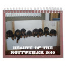 Search for rottweiler calendars Dog
