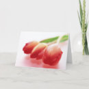 Search for ocassions cards Flowers