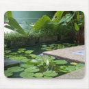 Search for lilly electronics Pond