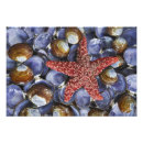 Search for up and fish art Shell