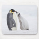 Search for outdoors mousepads Togetherness