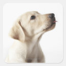 Search for tongue stickers Humour