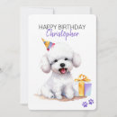 Search for bichon frise cards Watercolor