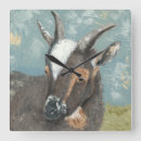 Search for goat clocks Animals