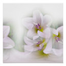 Search for abstract dance art White