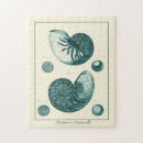 Search for seashell puzzles Sea life