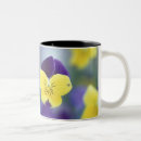 Search for cache mugs Utah