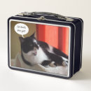 Search for cat lunch boxes Fun