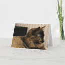 Search for blank inside cards Kitty