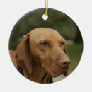Search for rhodesian ridgeback christmas tree decorations Dogs