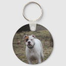 Search for boxer key rings Pet
