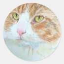 Search for snicker Cat