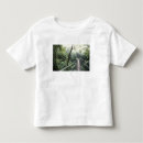 Search for forest path clothing Architecture